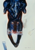 A Dog;s World