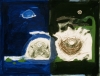 The Nests