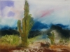 High Desert Cactus