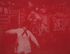 "Bull In Red"